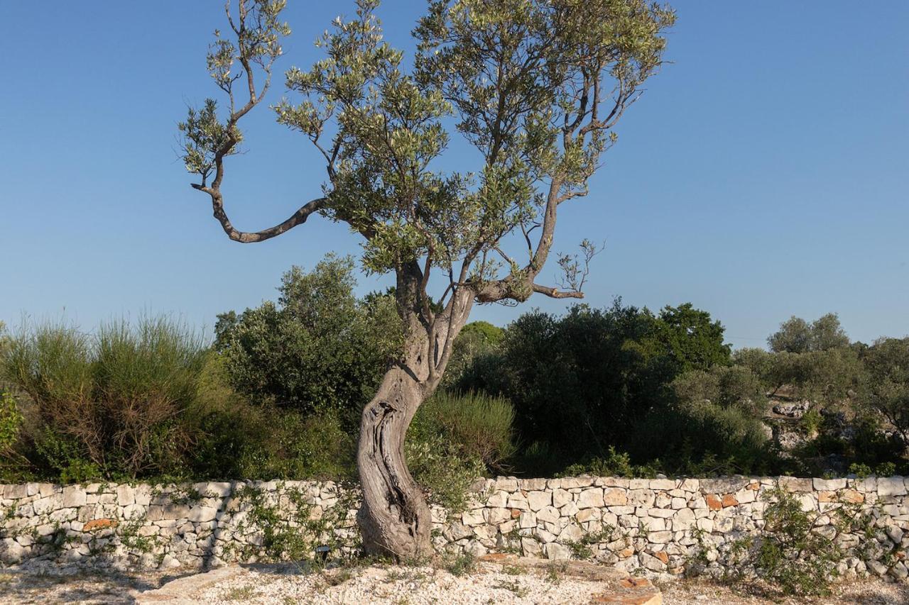 Trullo Carsico By Itriahomes Kellie Messapica Kültér fotó